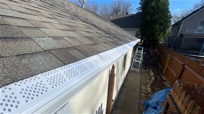 new roof gutter screens_naysmith.jpg